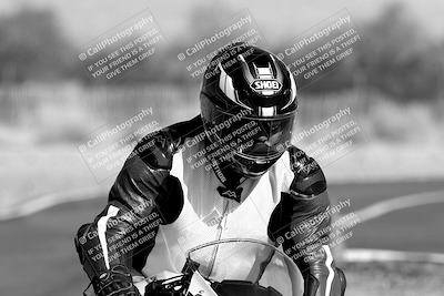 media/Feb-04-2023-SoCal Trackdays (Sat) [[8a776bf2c3]]/Around the Pits (Track Entry-Exit)/